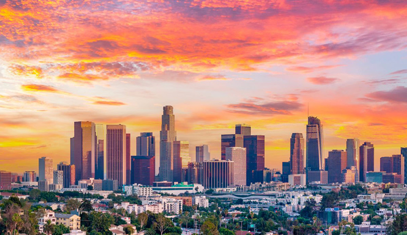 California annual report filing